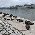WP_20140511_056